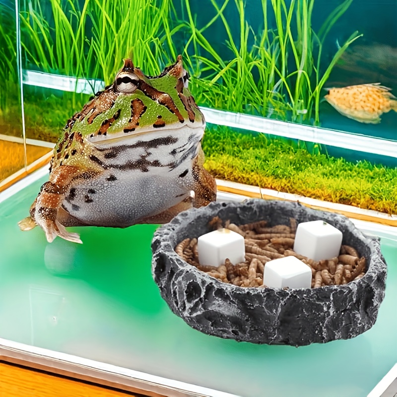 6Pcs For Reptile Grinding Tort - Calcium Powder Reptile review and price