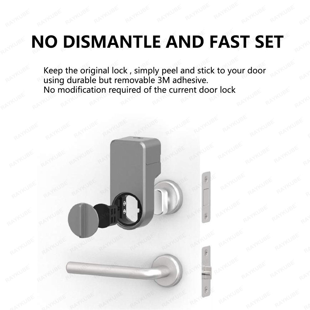 RAYKUBE A1 Pro Tuya BEL Smart  - Glass Door Hinge review and price