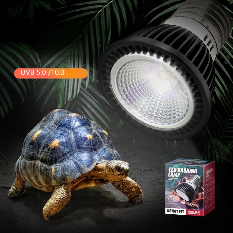 NOMOY Reptile 110/220V UVB+UVA - Calcium Powder Reptile review and price