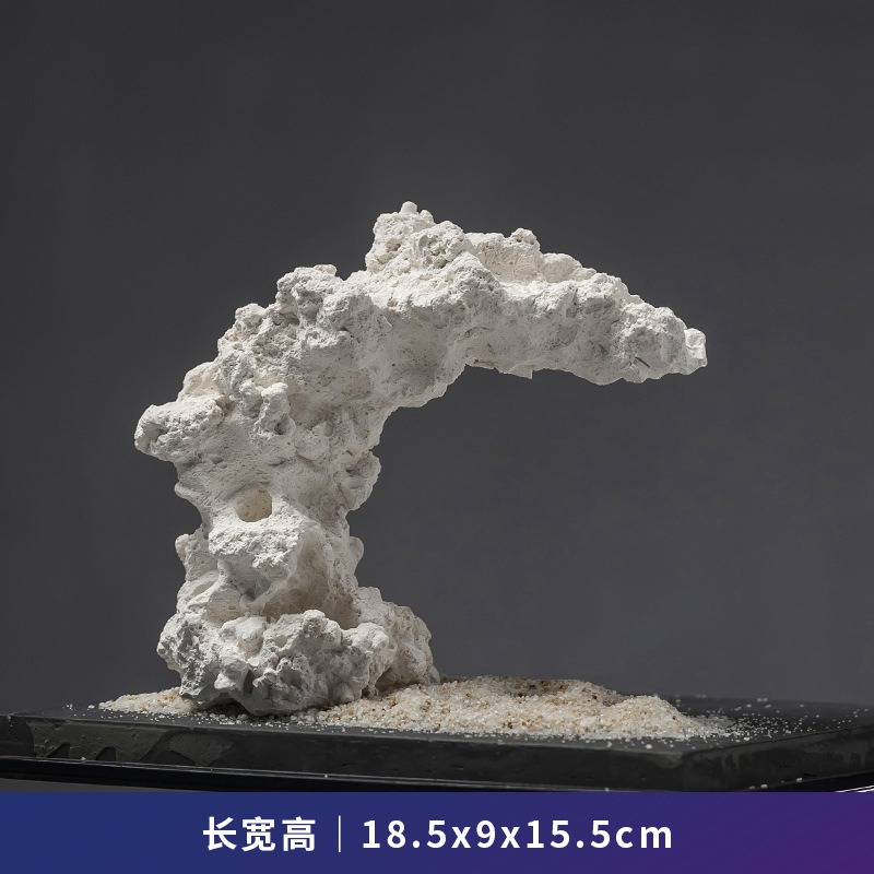 Glazed Ceramic Anemone Ornamen - Hide Cave Ceramic review and price