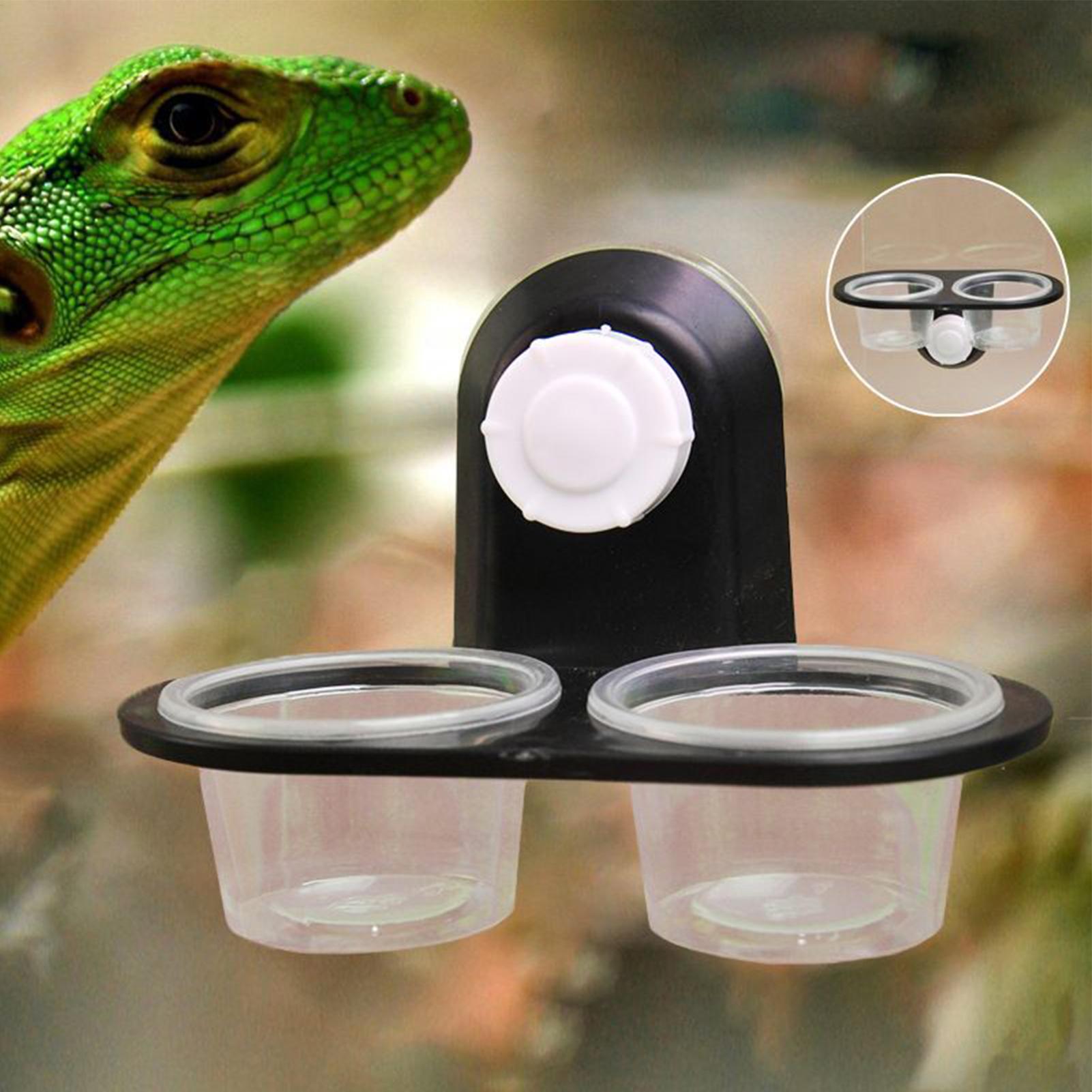 Gecko Feeder Ledge with Detach - Water Dish Reptile review and price